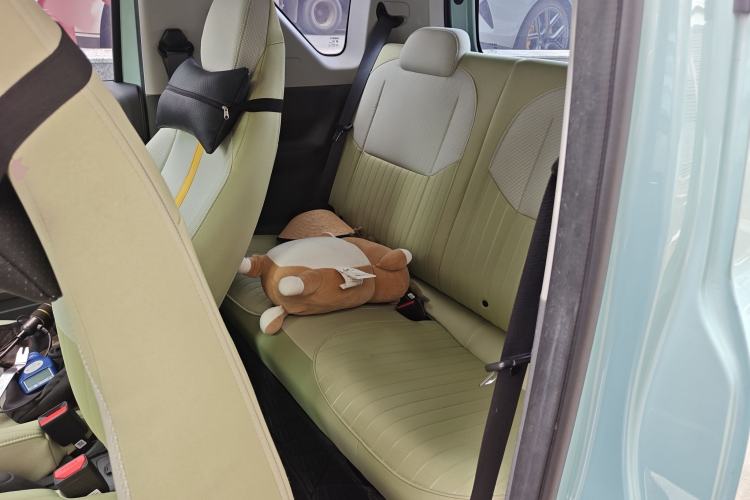 Used  Panda 2023 Panda Mini 200km Endurance Bear
