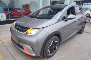 Used BYD Dolphin 2021 405 km Free Version
