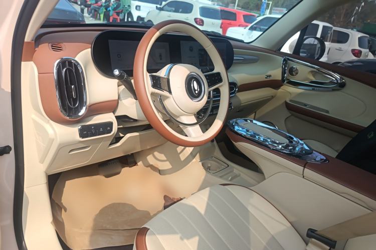 Used ORA Ballet Cat 2023 401 km Luxury Version