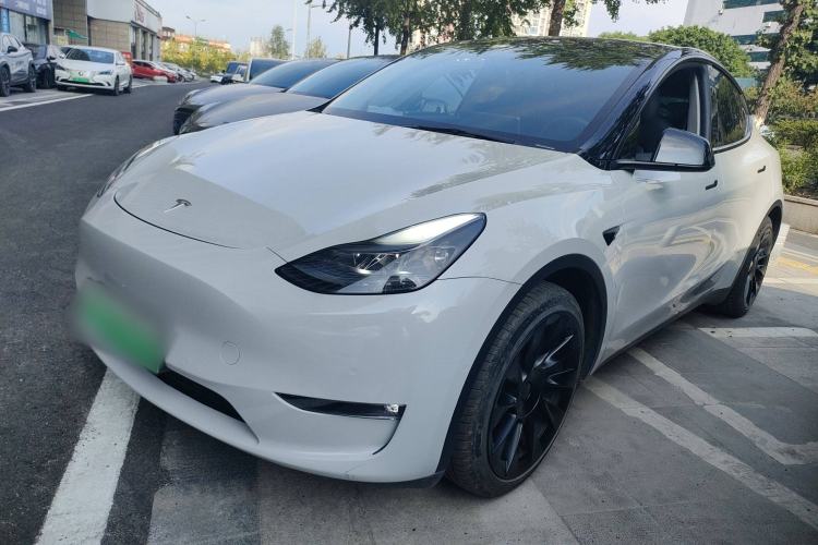 Used Tesla Model Y 2021 Standard Range Rear-Wheel Drive Version
