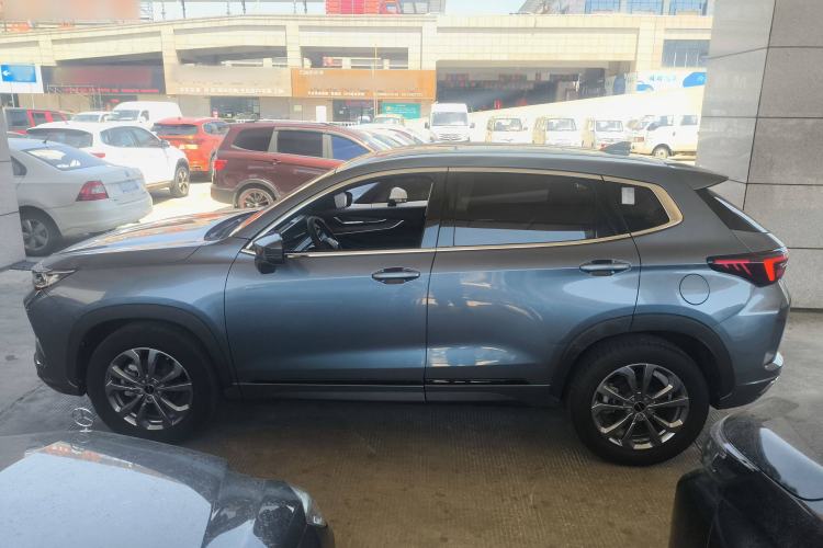 Used  Zhuifeng 2020 Chasing the Waves Edition 1.5T CVT Xingrui Version
