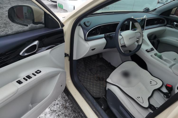 Used  Geome 2025 310km Youth Edition