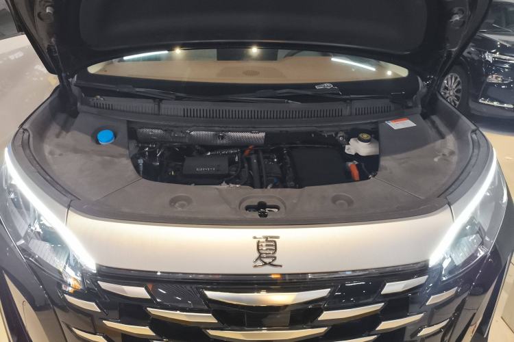 Used BYD Xia 2025 DM-i 1.5T 180km Excellence Model
