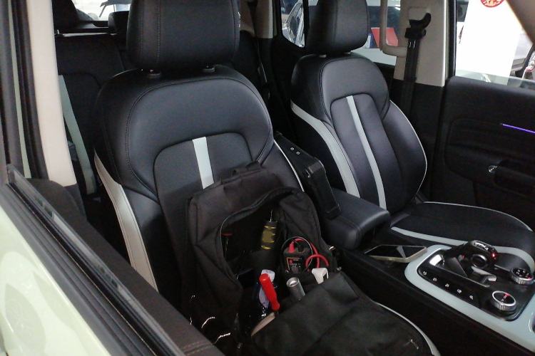 Used Tank 300 2021 City Edition 2.0T—Truly Stylish
