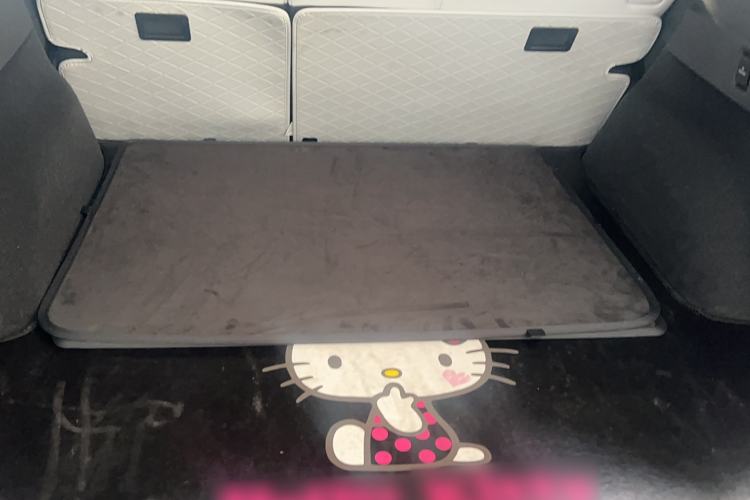 Used XPeng P7+ 2024 Long-Range Max
