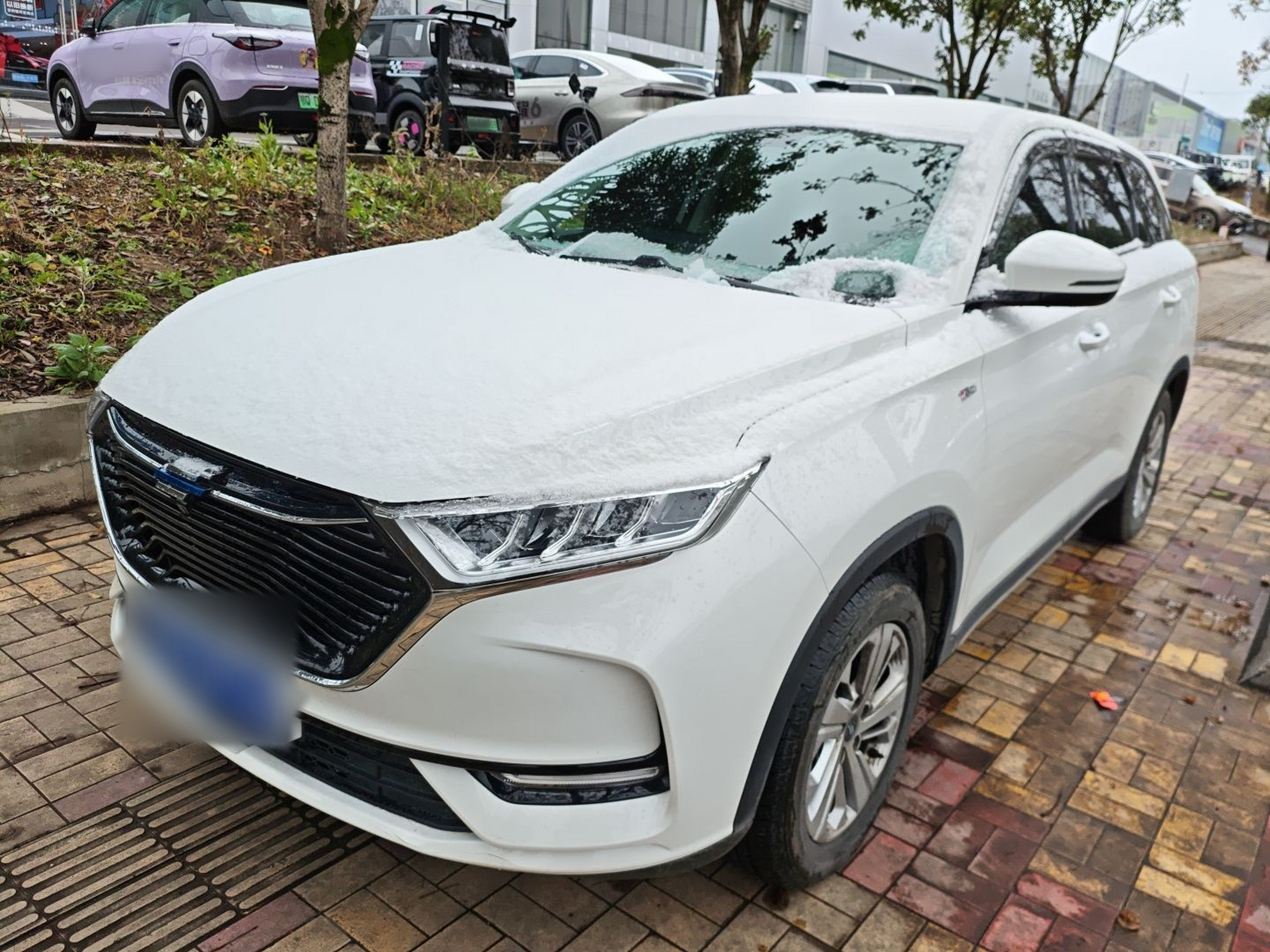 تحت مقدمة السيارة