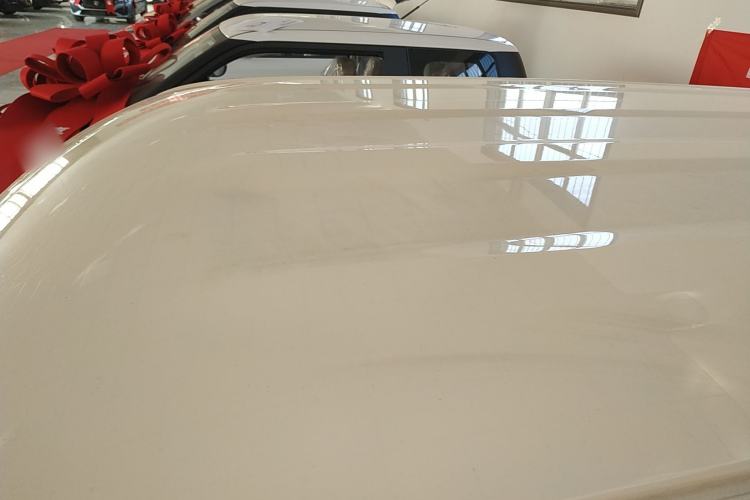 Used  Panda 2025 210 km – Yuanqi Bear