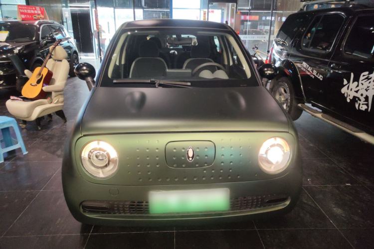 Used ORA Black Cat 2022 Updated Version 301 km Cute Pet Edition Lithium Iron Phosphate