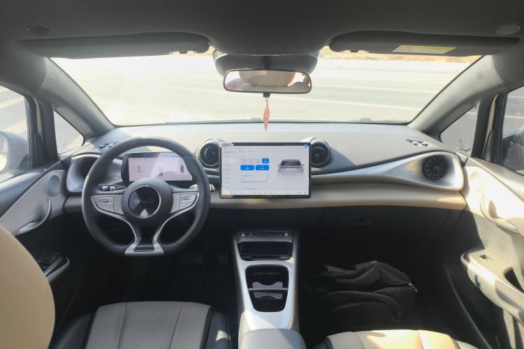 Used BYD Dolphin 2025 Smart Drive Version 420 km Freedom Edition
