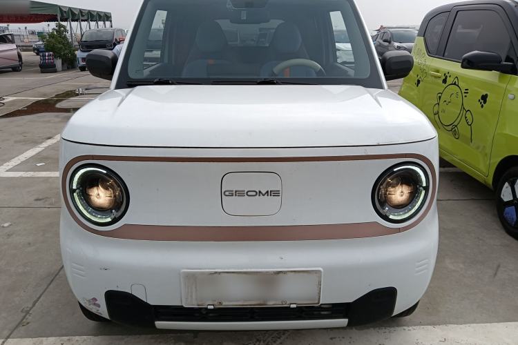 Used  Panda 2023 Panda Mini New Year Edition Treasure Bear