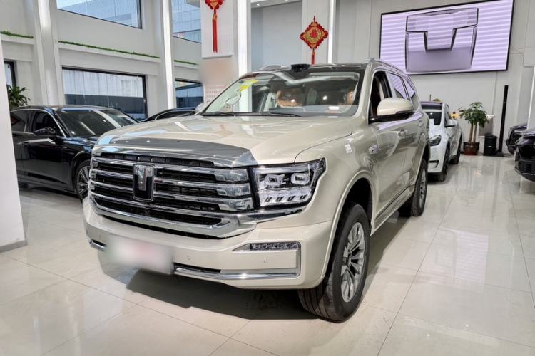 Used Tank 500 New Energy 