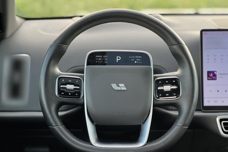 Used Li Auto L9 2022 Max model
