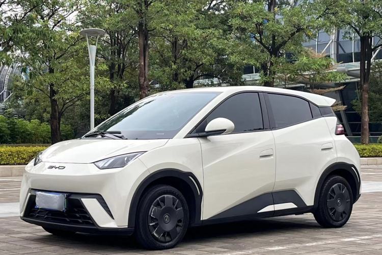 Used BYD Seagull 2024 Honor Edition 305km Dynamic Version
