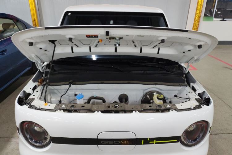 Used  Panda 2025 210 km – Yuanqi Bear