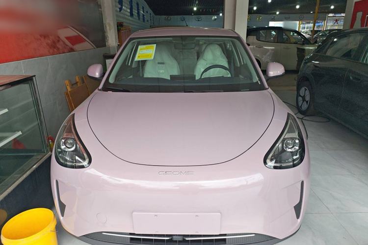 Used  Geome 2025 310km Youth Edition
