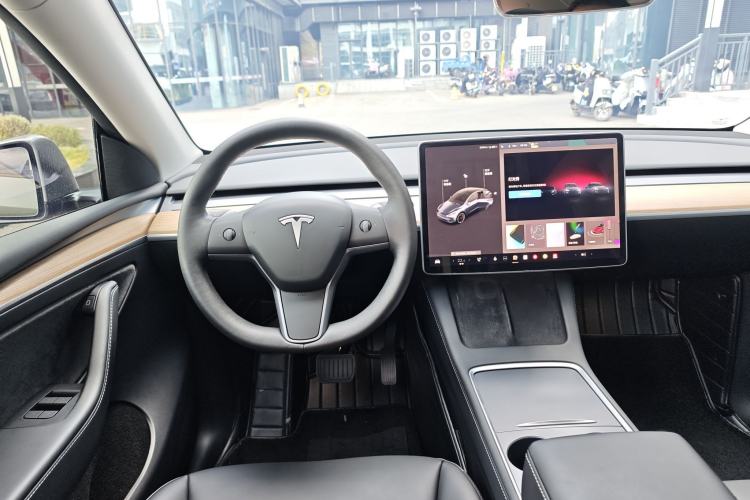 Used Tesla Model Y 2021 Standard Range Rear-Wheel Drive Version
