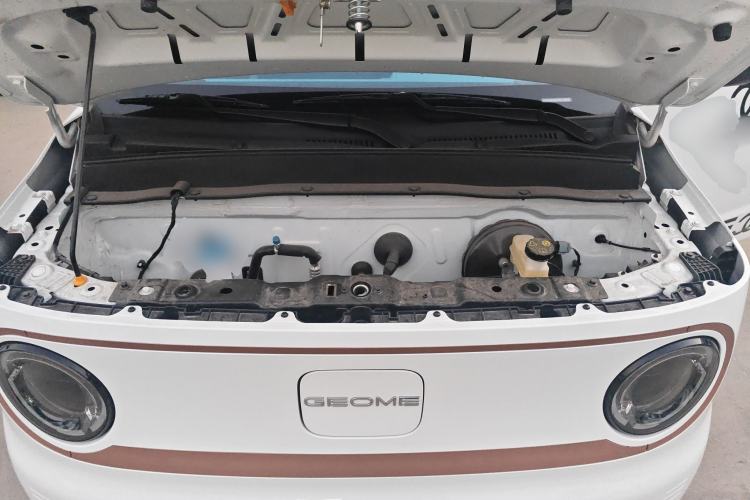 Used  Panda 2024 Panda Mini 200km Endurance Bear
