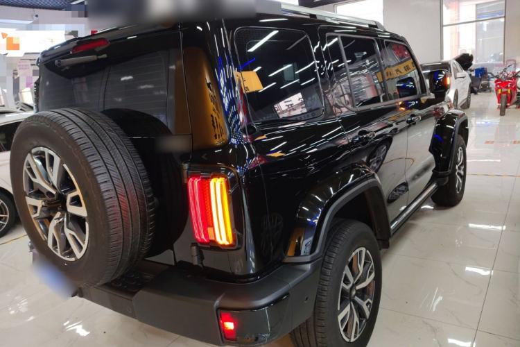 Used Tank 300 2024 2.0T Crosser
