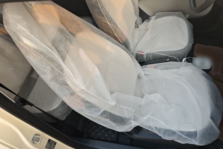 Used  Panda 2025 210 km – Yuanqi Bear
