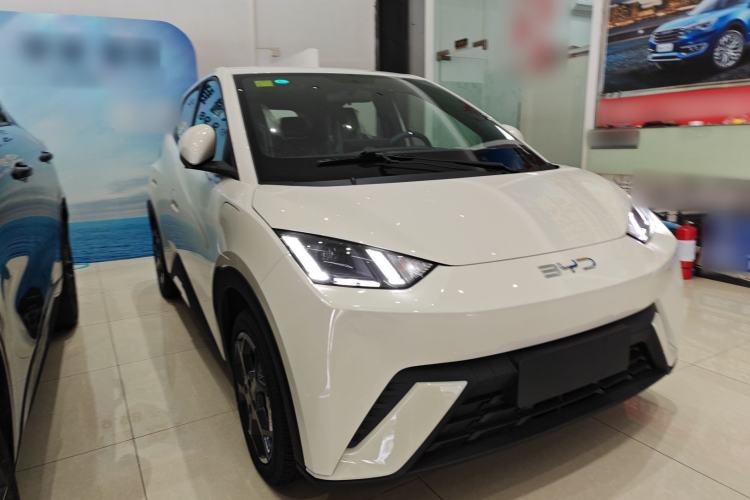 Used BYD Seagull 2025 305 km Free Version