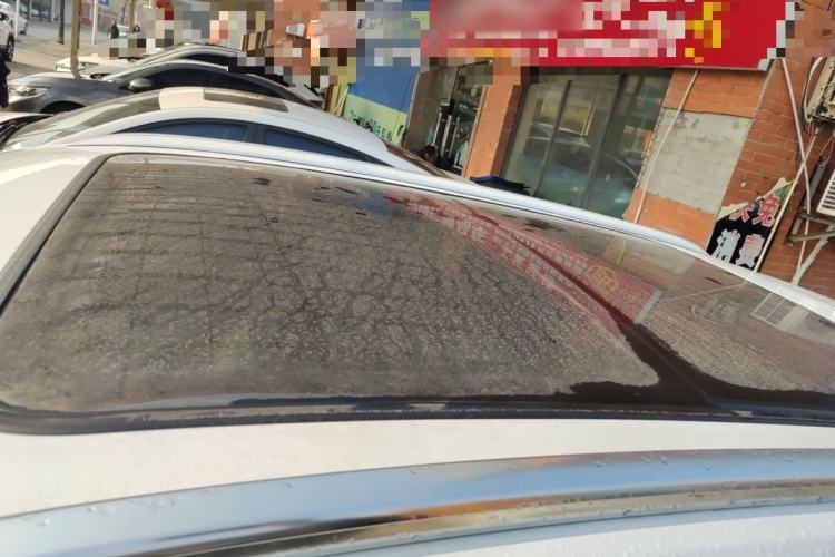 Used BYD Song PLUS New Energy 2024 Honor Edition EV 520km Luxury Model
