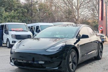 Used Tesla Model 3 2021 Revised Version Standard Range Rear-Wheel Drive Upgraded Edition 3D1