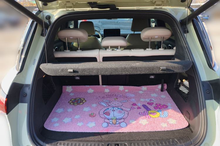 Used  #1 2022 Pulse Heartbeat Edition
