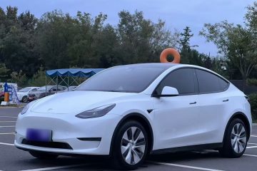 Used Tesla Model Y 2021 Standard Range Rear-Wheel Drive Version