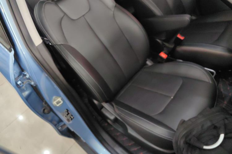 Used NETA V 2021 Long-Range Entertainment Edition Upgrade Model
