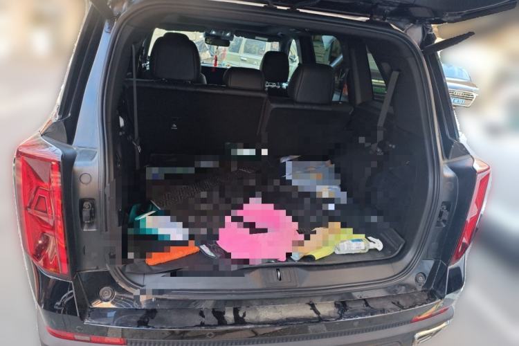 Used GAC Trumpchi GS8 2022 Linghang Series 2.0 TGDI Two-Wheel-Drive Luxury Smart Connectivity Version (7 Seats)