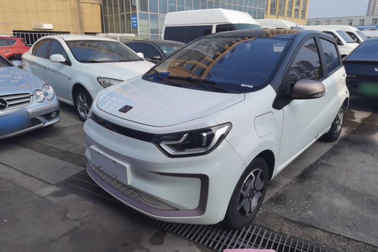 Used SOL E10X 2022 Flower Fairy Design Four-Leaf Clover