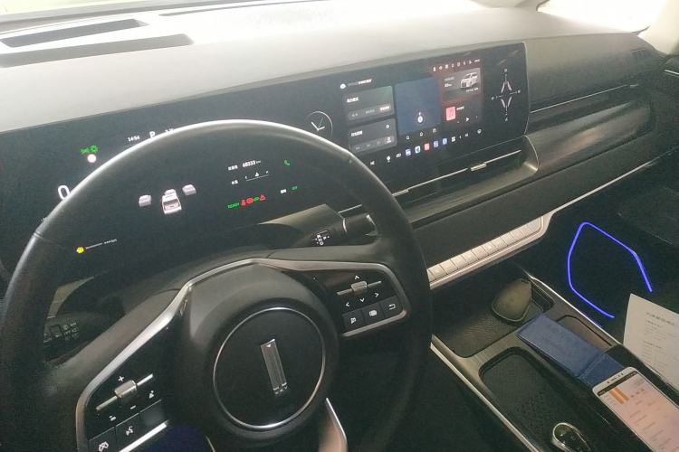 Used Wey Gaoshan 2023 Four-Wheel Drive Premium Edition