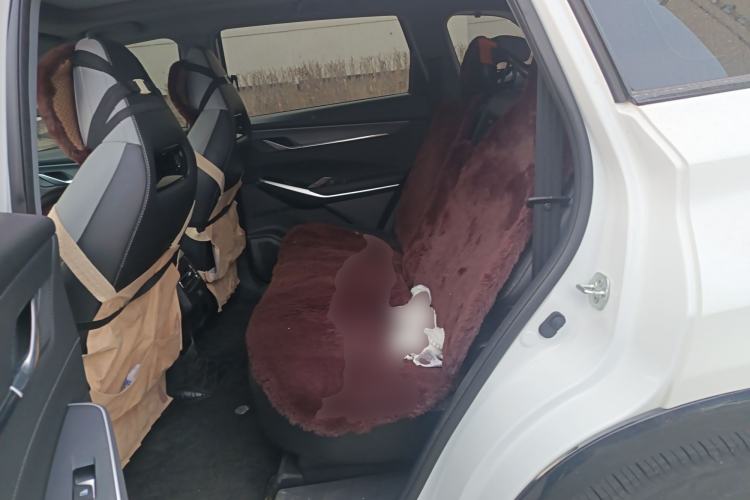 Used Changan CS75 PLUS 2024 3rd Generation Champion Edition 1.5T Intelligent Drive Dynamic Model
