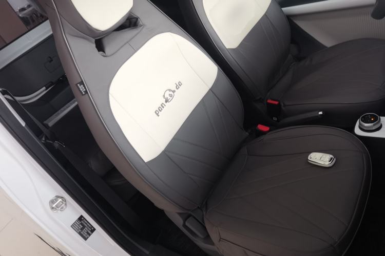 Used  Panda 2025 210 km – Yuanqi Bear
