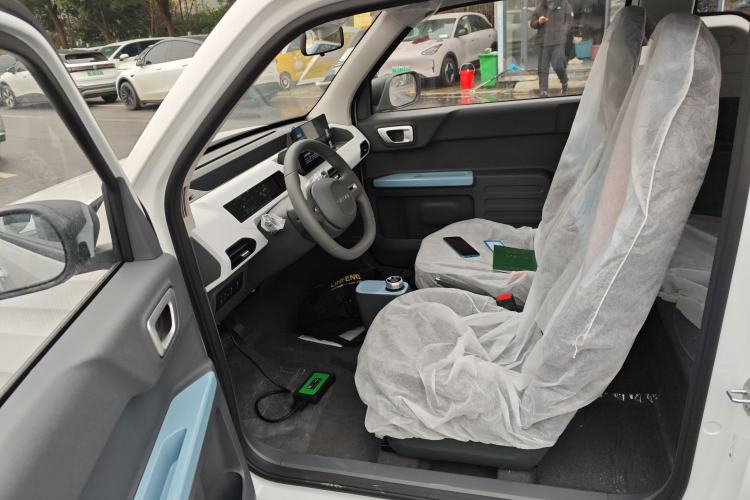 Used  Panda 2024 Panda Mini 200km Endurance Bear
