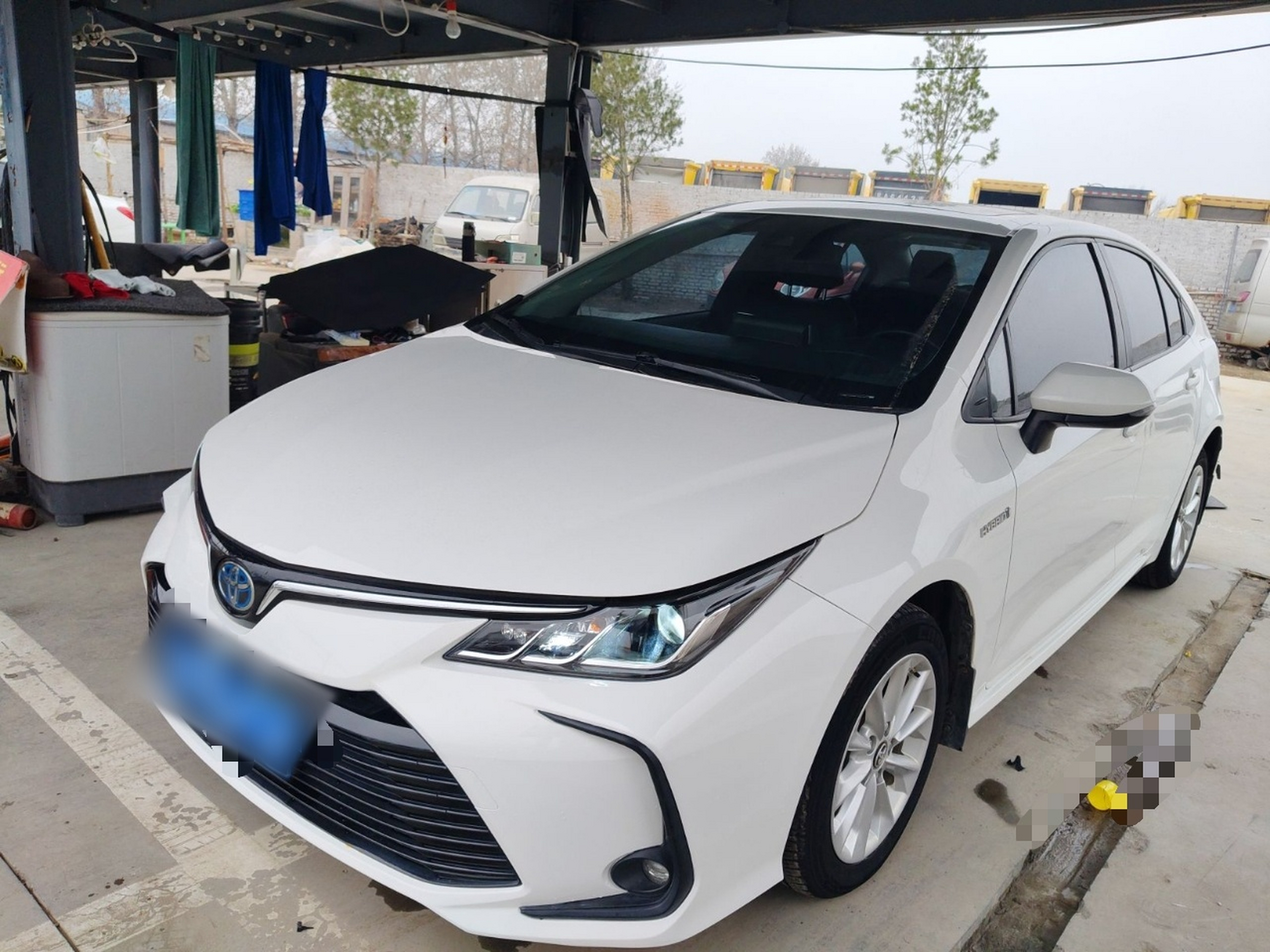 تحت مقدمة السيارة