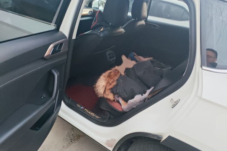 Used Volkswagen Tharu 2021 280TSI Two-Wheel-Drive Luxury Plus Edition