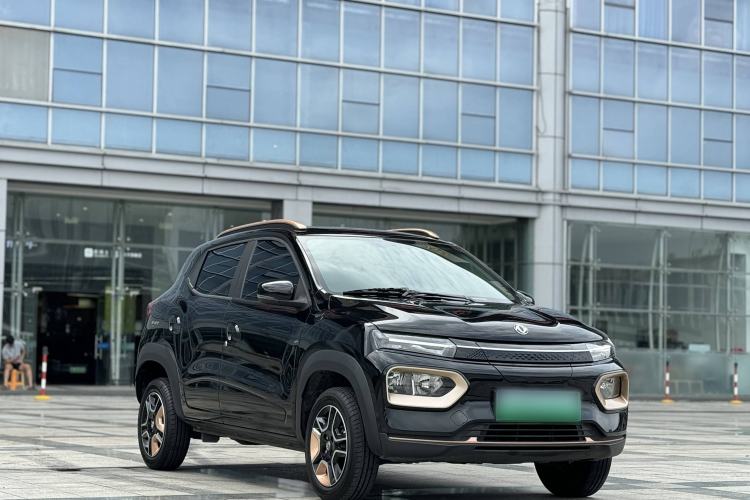 Used Dongfeng NAMMI EX1 2023 PRO Light Wind Edition Lightning Model
