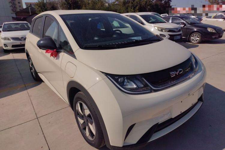 Used BYD Dolphin 2025 420km Free Edition
