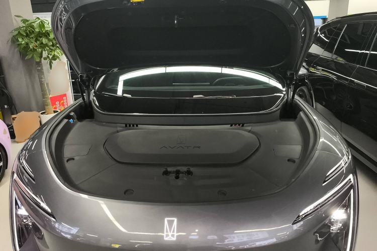 Used  07 2024 Max Extended-Range Edition
