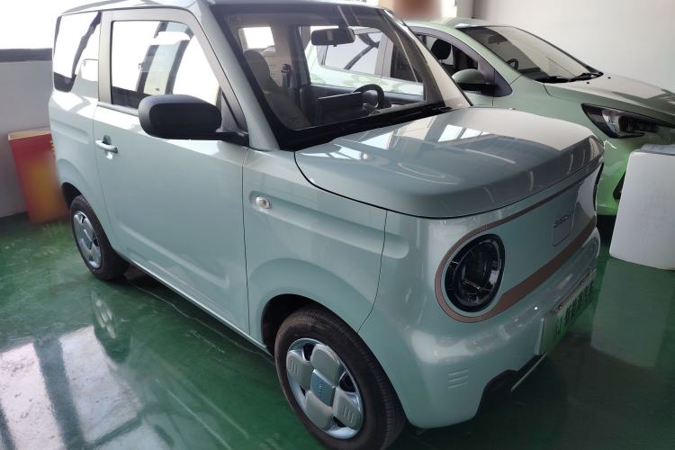 Used  Panda 2024 Panda Mini 200km Endurance Bear
