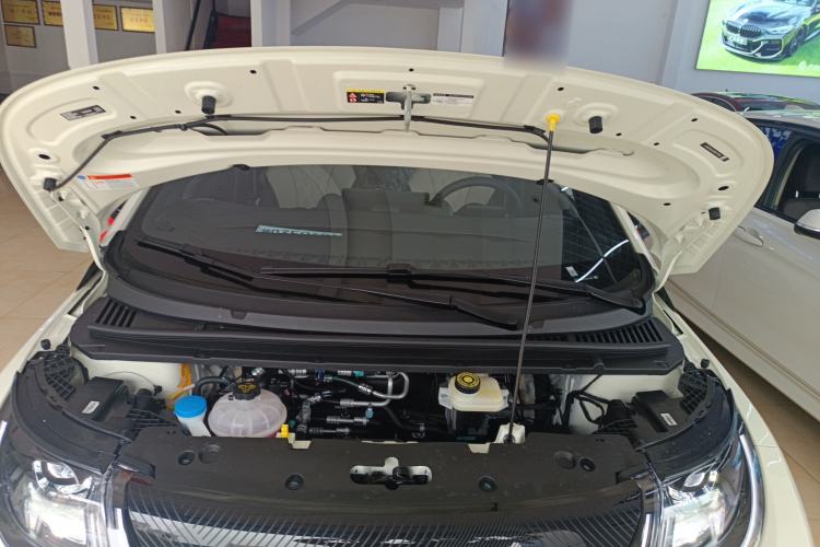 Used BYD Dolphin 2025 420km Free Edition
