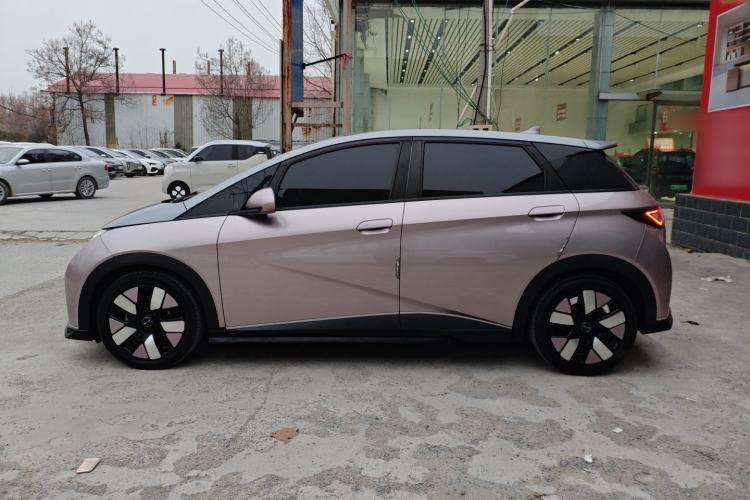 Used BYD Dolphin 2021 401km Knight Edition
