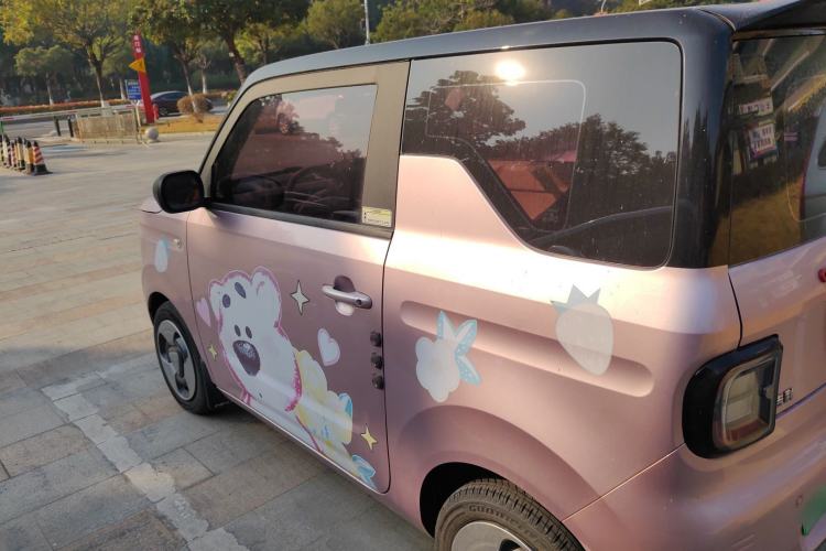 Used  Panda 2023 Panda Mini 200km Dynamic Bear