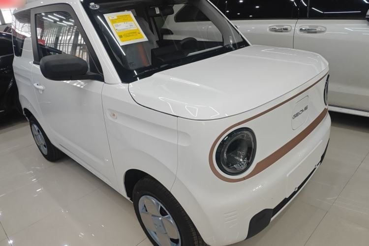 Used  Panda 2024 Panda Mini 200km Endurance Bear