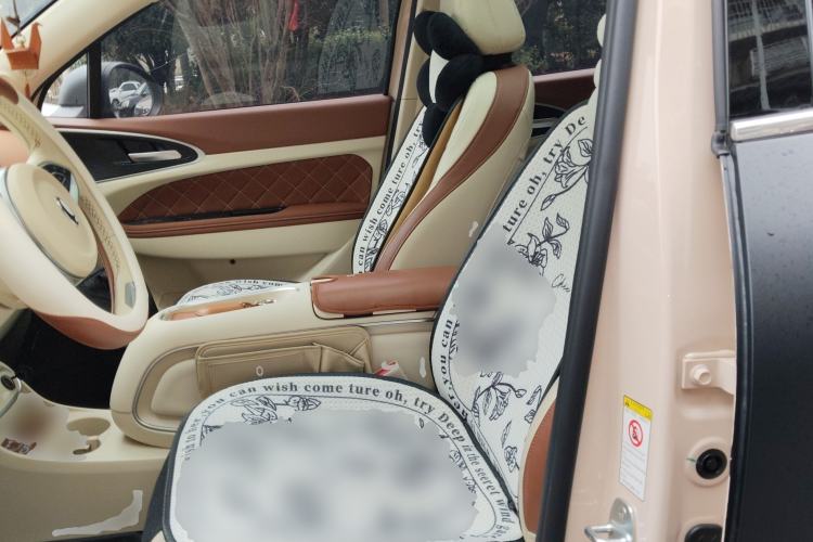 Used ORA Good Cat 2023 401 km Standard Range Prestige Version Lithium Iron Phosphate