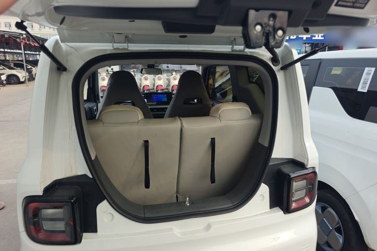 Used  Panda 2024 Panda Mini 200km Endurance Bear
