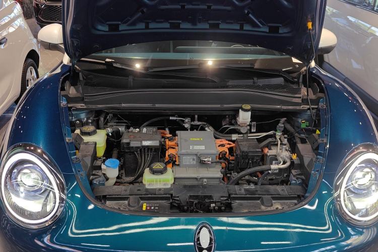 Used ORA Good Cat 2023 401 km Standard Range Luxury Version Lithium Iron Phosphate
