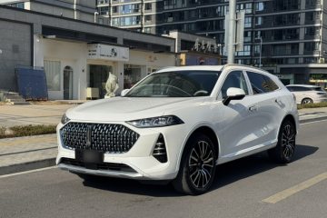 Used Wey Mocha 2021 2.0T Four-Wheel Drive Premium Edition