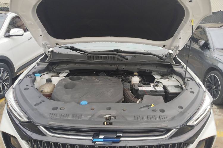 Used Oshan X7 PLUS 2022 1.5T Blue Whale Edition Automatic Prestige Version
